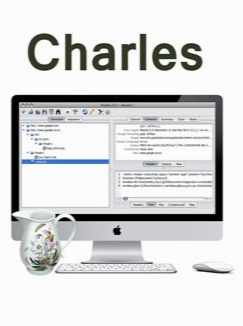 charles 4.2.1