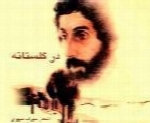 احمدرضا احمدی - آلبوم در گلستانهAhmadreza Ahmadi