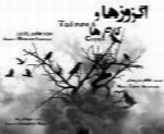 محسن پاک نیت - آلبوم اگزوزها و کلاغ هاMohsen Pakniyat