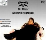 دی جی رایزر - آلبوم تک ترانه هاDJ Riser