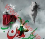 امیر مولودی - آلبوم تک ترانه هاAmir Moludy