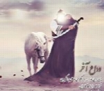 علی جهانگیری - آلبوم تک ترانه هاAli Jahangiri