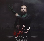 محسن صالحی - آلبوم تک ترانه هامحسن صالحی