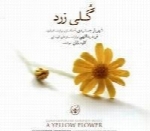 کاوه بابان - آلبوم گلی زردKaveh Baban