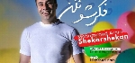 محمد امین شکرشکن - آلبوم تک ترانه هاMohammad Amin ShekarShekan