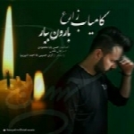 کامیاب زارع - آلبوم تک ترانه هاKamyab Zare