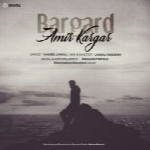 امیر کارگر - آلبوم تک ترانه هاAmir Kargar