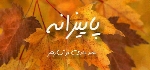 محمد هادی خوشرفتار - آلبوم تک ترانه هاMohammad Hadi Khoshraftar