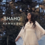 شاهو - آلبوم تک ترانه هاShaho