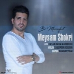 میثم شکری - آلبوم تک ترانه هاMeysam Shokri