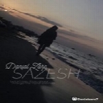 دانیال زارع - آلبوم تک ترانه هاDanial Zare