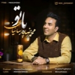 محمدرضا پارساییان - آلبوم تک ترانه هاMohammadreza Parsaeian