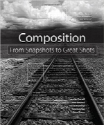 ترکیب‌بندی؛ از عکس‌های فوری تا عکس‌های حرفه‌ایComposition: From Snapshots to Great Shots