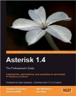 راهنمای حرفه‌ای Asterisk 1.4Asterisk 1.4: the Professional’s Guide