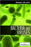 باکتری‌ها و ویروس‌هاBacteria and Viruses