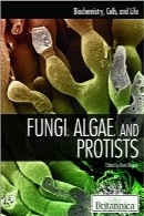 قارچ‌ها و جلبک‌ها: بیوشیمی، رشد و تقسیم سلولیFungi, Algae, and Protists (Biochemistry, Cells, and Life)