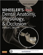 فیزیولوژی، اکلوژن و آناتومی دندان WheelerWheeler’s Dental Anatomy, Physiology and Occlusion, 10e