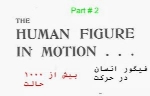 تصاویرفیگور انسان در حرکت (بخش 2)