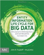 Entity Information Life Cycle For Big Data