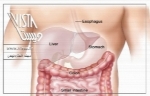 دانستنیهای پزشکی-دستگاه گوارش