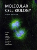 Molecular Cell Biology Lodish - 6th edition
