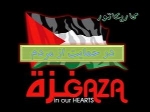 کاریکاتور در حمایت از مردم غزه