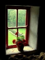 گلدان پشت پنجره