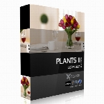 مدل با کیفیت بالا از گل و گیاهانCGaxis Models Volume 21 Plants II