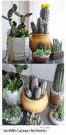 Set With Cactuses 3d Models