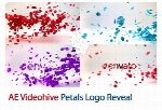 پروژه آماده افترافکت نمایش لوگو با افکت پراکندگی گلبرگ به همراه آموزش ویدئویی از ویدئوهایوVideohive Petals Logo Reveal After Effects Template