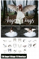 15 کلیپ آرت بال فرشتگان بدون بک گراندCM Angel Wings 15 Overlays