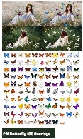 100 کلیپ آرت پروانه های رنگی بدون بک گراندCreativeMarket Butterfly 100 Overlays