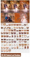 بیش از 100 کلیپ آرت پاییزی، برگ های پاییزی و افکت پاییزی برای تصاویرCM 100 Painted Leaf Photo Overlays