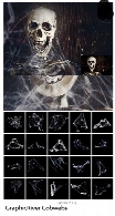 اکشن فتوشاپ ایجاد افکت تارعنکبوت بر روی تصاویر از گرافیک ریورGraphicRiver Cobwebs