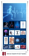 مجموعه تصاویر با کیفیت سه بعدی آناتومی بدن انسان، قلب، اسکلت، ریه، روده و ...StockMIX Human Anatomy In 3D Renders