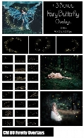 بیش از 80 تصویر کلیپ آرت افکت کرم شب تاب بر روی تصاویرCM 80 Firefly Overlays