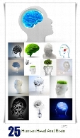 تصاویر با کیفیت مفهومی مغز و سر انسانHuman Head And Brain