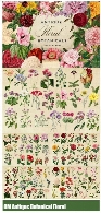 مجموعه عناصر طراحی گل و بوته های آنتیک متنوعCM Antique Botanical Floral Graphics