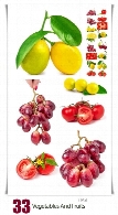 تصاویر با کیفیت میوه و سبزیجات، انگور، لیمو، گوجه فرنگیVegetables And Fruits