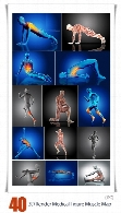 مجموعه تصاویر سه بعدی حرکات پزشکی با نقشه عضلات3D Render Of A Medical Figure With Muscle Map