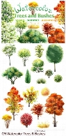 تصاویر وکتور درختان و بوته های آبرنگی بهار، تابستان و پاییزCM Watercolor Trees And Bushes