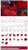 تصاویر کلیپ آرت عناصر طراحی گل رز قرمز، گلبرگ قرمزCM Falling Rose Petals Photo Overlays