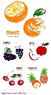 تصاویر وکتور طرح های اولیه میوه ها، انگور، موز، سیب و ...Sketched Fruits