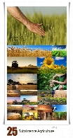 تصاویر با کیفیت شغل کشاورزی، کشاورز، زمین کشاورزی، کشت، محصولات و ...Subsistence Agriculture