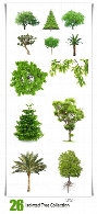 تصاویر با کیفیت درختان متنوع در پس زمینه شفافIsolated Tree Collection