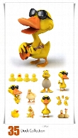 تصاویر با کیفیت اردک، اردک عروسکی، اردک کارتونیDuck Collection