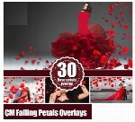 تصاویر کلیپ آرت فتوشاپ گلبرگ های قرمز پراکنده مناسب برای عکاسانCM Falling Petals Photoshop Overlays