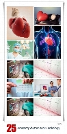 تصاویر با کیفیت قلب و عروق از شاتر استوکAmazing ShutterStock Cardiology