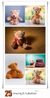 تصاویر با کیفیت خرس عروسکی، تدی خرسه از شاتر استوکAmazing ShutterStock Teddy Bears