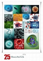 تصاویر با کیفیت سلول و ویروسViruses And Cells